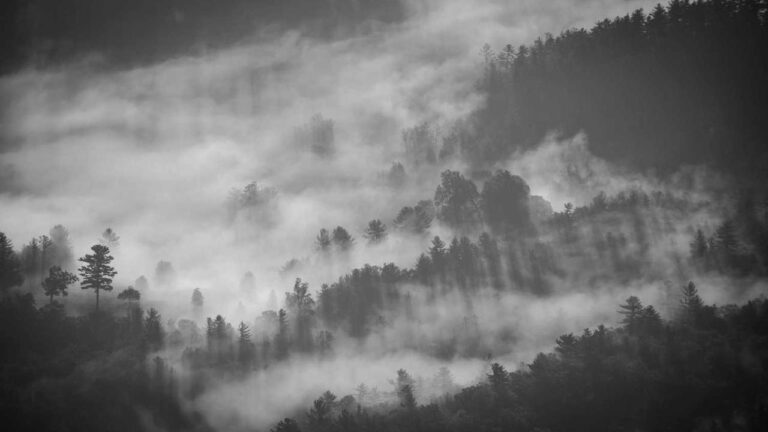 Where To Get Verified Link For 11Xplay Pro App Download?